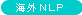海外NLP