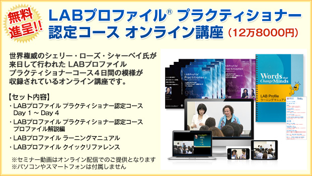 LABプロファイル(R) プラクティショナー認定コースDVD