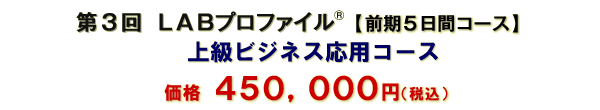 LABプロファイル 上級ビジネス応用コース