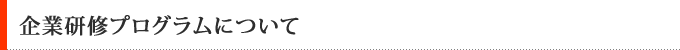 企業研修プログラムについて