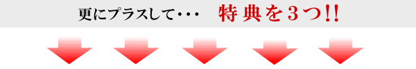 更にプラスして...特典を３つ！