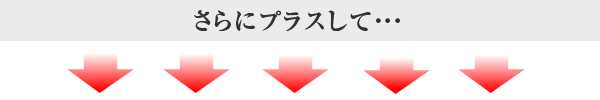 さらにプラスして・・・