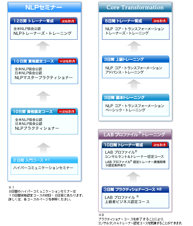 トレーニング概要図