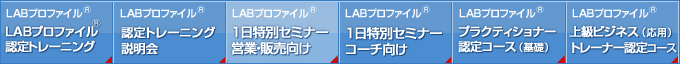 LABプロファイル(R)
