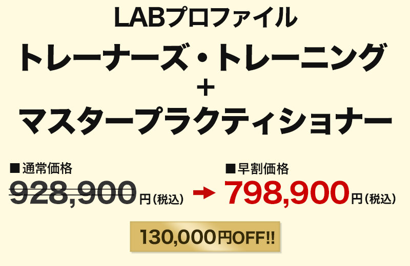 LABプロファイル トレーナーズ・トレーニング+マスタープラクティショナー