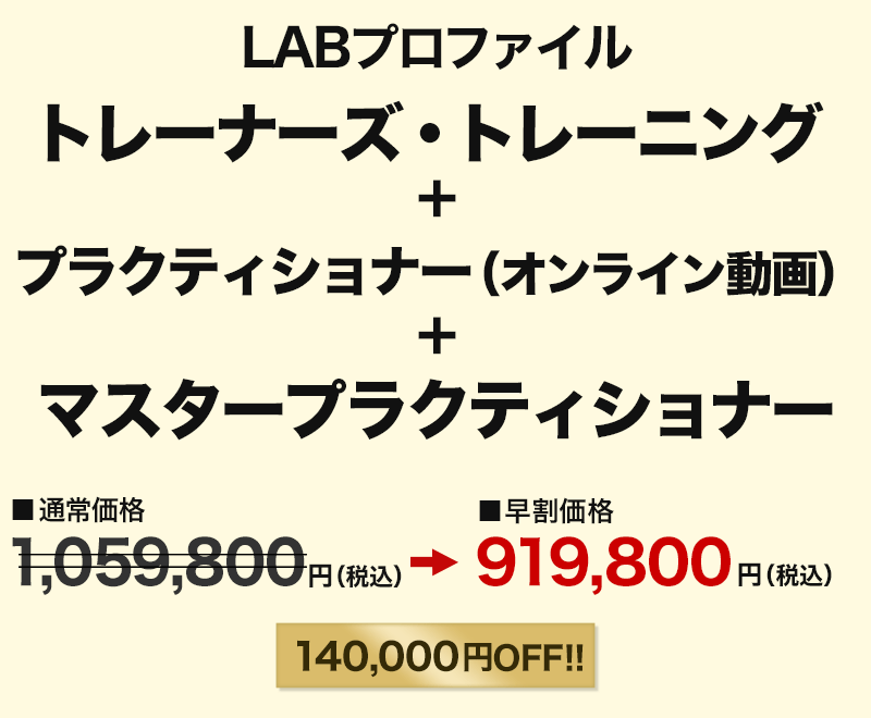 LABプロファイル トレーナーズ・トレーニング+マスタープラクティショナー+プラクティショナーオンライン動画