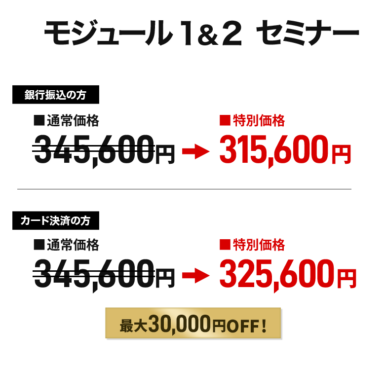 メタファー・オブ・ムーブメント（MoM）モジュール１＋２