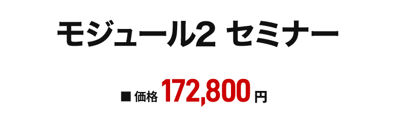 メタファー・オブ・ムーブメント（MoM）モジュール２