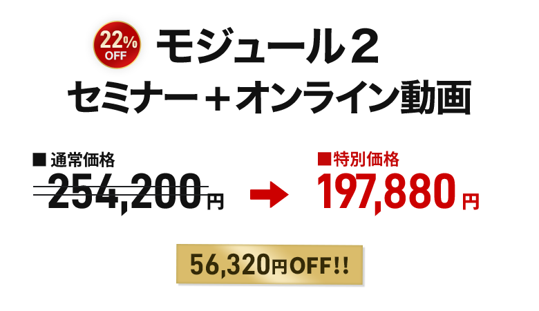 メタファー・オブ・ムーブメント（MoM）モジュール２＋オンライン動画セット