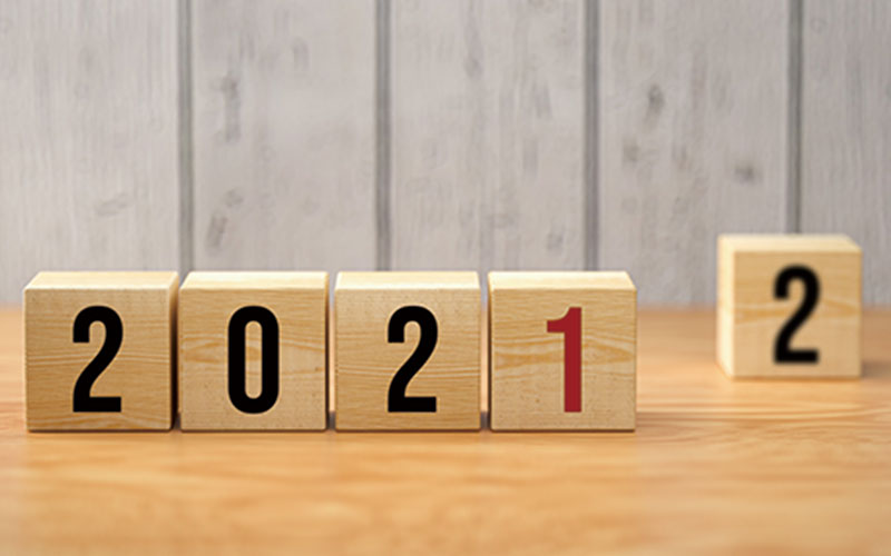 少し早いですが、2021年を振り返ってブヒブヒ。