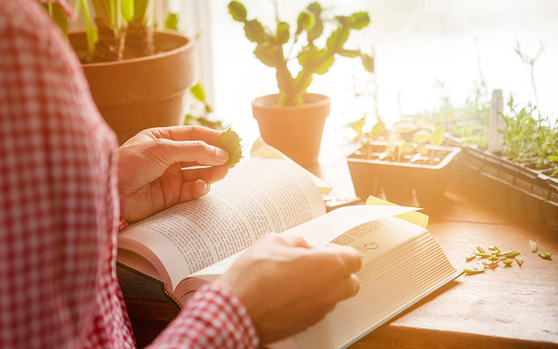 言葉を集めてみた