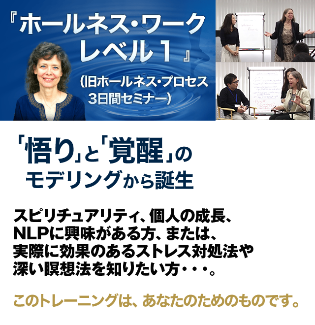 ホールネス・プロセス オンライン動画